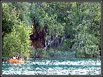 DSCF0034.JPG