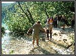 DSCF0063.JPG