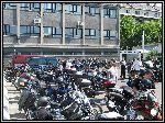 IMG_2381.JPG