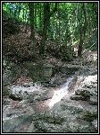 IMG_2139.JPG