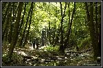 Img2302.jpg