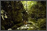Img2304.jpg