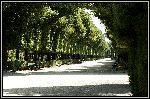 Img2232.jpg