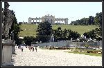 Img2233.jpg