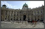 Img2256.jpg
