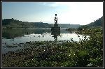 DSC_0066.jpg