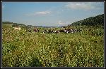 DSC_0072.jpg