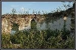 DSC_0089.jpg