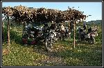 DSC_0093.jpg