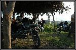 DSC_0094.jpg