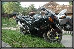 DSC_0101.jpg