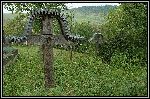 DSC_0105.jpg