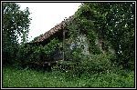 DSC_0111.jpg