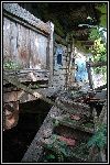 DSC_0119.jpg