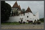 DSC_0138.jpg