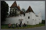 DSC_0141.jpg