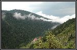 DSC_0160.jpg