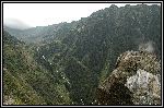 DSC_0161.jpg