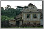 DSC_0184.jpg