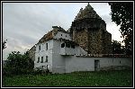 DSC_0193.jpg