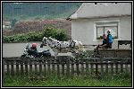 DSC_0200.jpg
