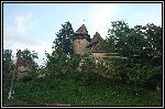 DSC_0202.jpg
