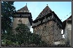 DSC_0205.jpg
