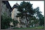 DSC_0210.jpg