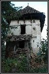 DSC_0212.jpg