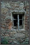 DSC_0219.jpg
