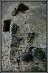 DSC_0220.jpg