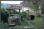 DSC_0224.jpg