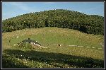 DSC_0255.jpg