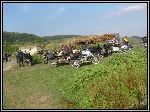 DSCF0801.JPG