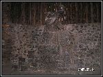 PICT0074.JPG