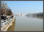 DSCF0213.JPG