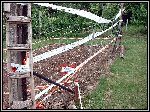 DSCF0060.JPG