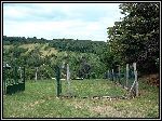 DSCF0066.JPG