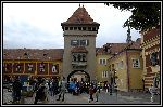 Img1868.jpg