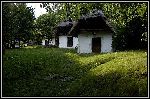 Img1902.jpg