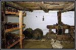 Img1907.jpg