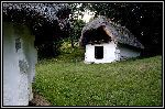 Img1911.jpg
