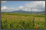 Img6717.jpg