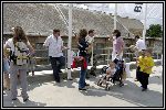 Img6780.jpg