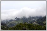 Img6320.jpg