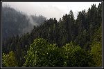 Img6321.jpg