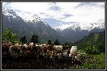 Img6333.jpg