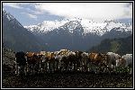 Img6334.jpg