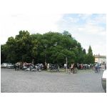 IMG_6288.JPG