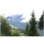 IMG_1209.JPG